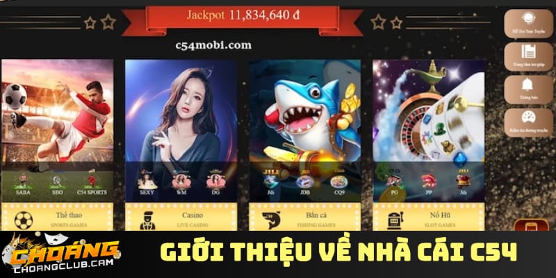 nha-cai-c54-su-xuat-hien-moi-day-an-tuong-tren-thi-truong-cuoc-online